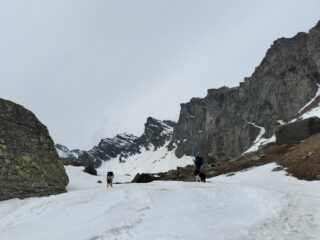 oplus_0