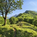 La cresta di salita 