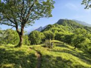 La cresta di salita 