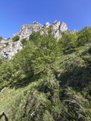 I corni rossi visti dal basso