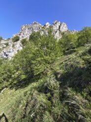 I corni rossi visti dal basso