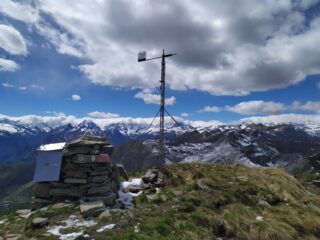Vaccarezza