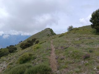 Verso il Roche Fourquin 
