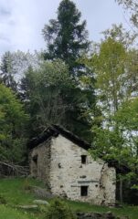 Grand Poignon