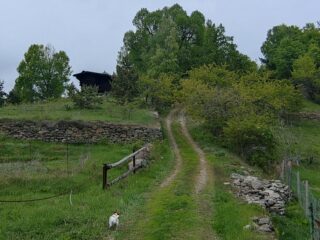Cresta verso il tiglio