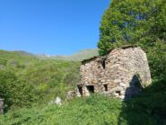 Poilarocca 