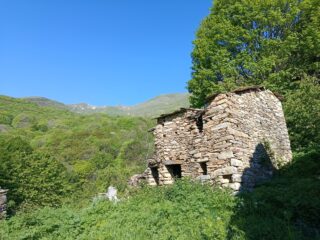 Poilarocca 
