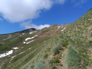 Verso il Monte Fronte' 
