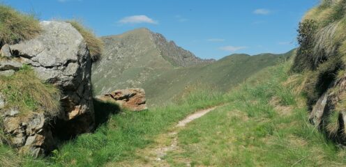 Sullo sfondo il Monte Zeda