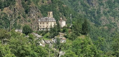 Cervatto