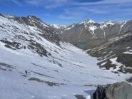 Pendio colle Valfredda
