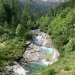 meravigliose marmitte