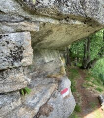 balma e faggi secolari 