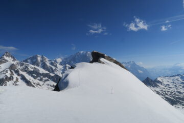 la cima