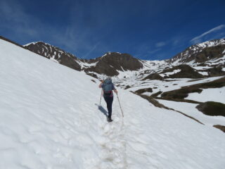 traccia sulla neve
