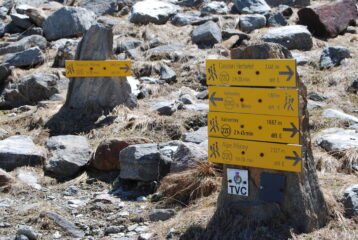 Il bivio sentieri per Alpe e Bivacco