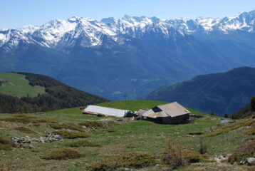 Alpe Champ Cellier dal sentiero 4