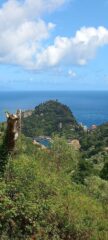 Si intravvede la baia di Portofino