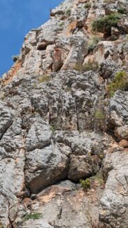 La fettuccia bianca all'attacco