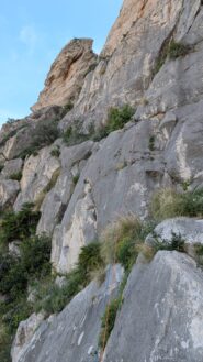 Attacco della via