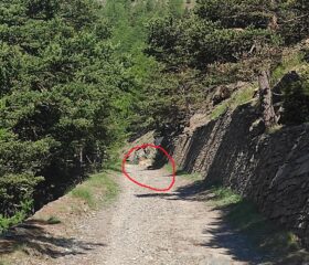 se in macchina si vede il masso cerchiato in rosso vuol dire che si è andati troppo avanti 