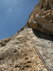 L6 bel muro placcoso grippante