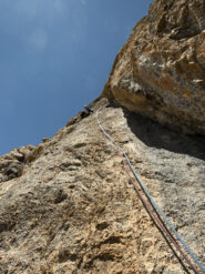 L6 bel muro placcoso grippante