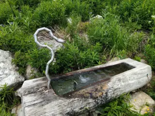 Fontana artistica a forma di serpente