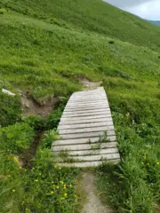 Ponticello