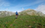 Costa Chiot verso il Tibert