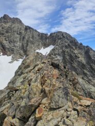 Altro dettaglio della cresta in un bel punto
