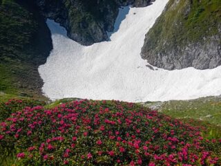 il nevaio del Mondolè ..un tempo perenne 