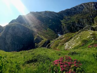 la cresta NE  vista dalla cresta NO