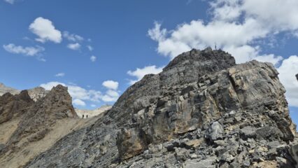 colletto e cima 