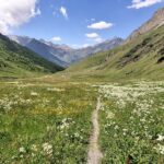 La piana di Soustra splendidamente fiorita