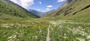 La piana di Soustra splendidamente fiorita