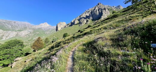 Nella parte bassa domina la Rocca Senghi