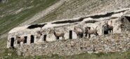 La casermetta è ben abitata