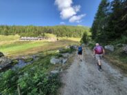Verso alpe Barasson 