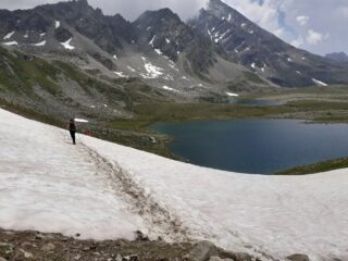 Nevaio.
