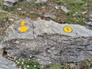 bolli rifatti sul sentiero