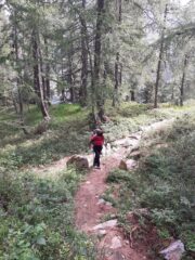 Si abbandona il sentiero per il Rifugio Barma.