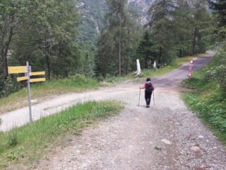 Chiusura del lungo anello, a destra la strada fatta salendo.
