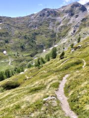 il ripido sentiero che scende verso il vallone di Barasson