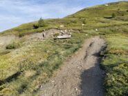 dopo il tratto ripido si trova la poderale che porta al rifugio