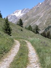 la strada poderale che sale nel vallone di Menouve con vista sul Velan