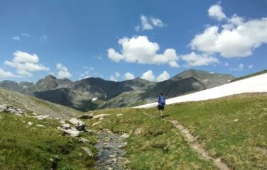 Sui prati del vallone del Rui sotto il colle Reisasetto