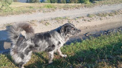 Piacevole incontro e affettuosa compagnia a Les Ors