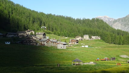 Cheneil