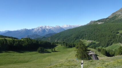 Appena oltre l'Alpe Cret